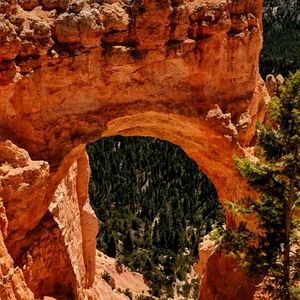 Meet your Posher, Margaret